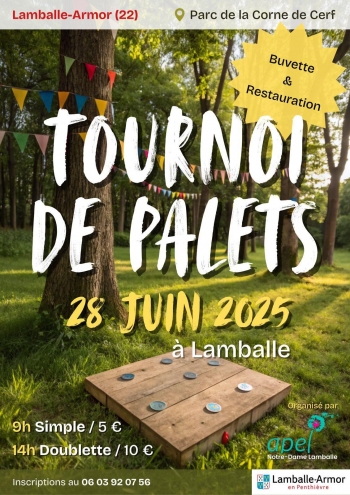 Tournoi de palets 